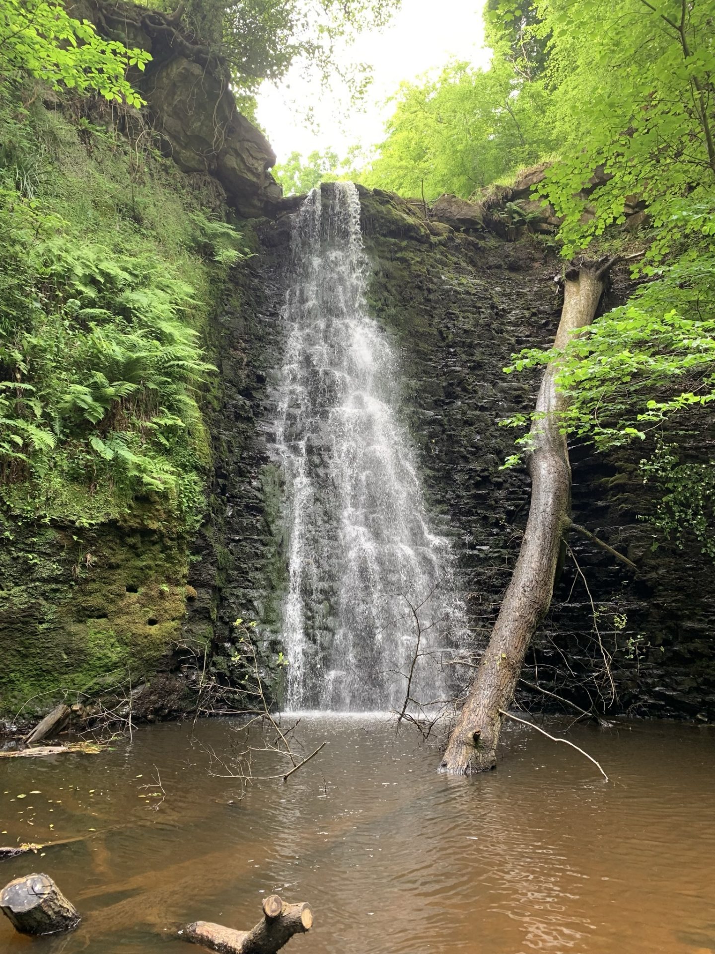 Adventuring at Falling Foss