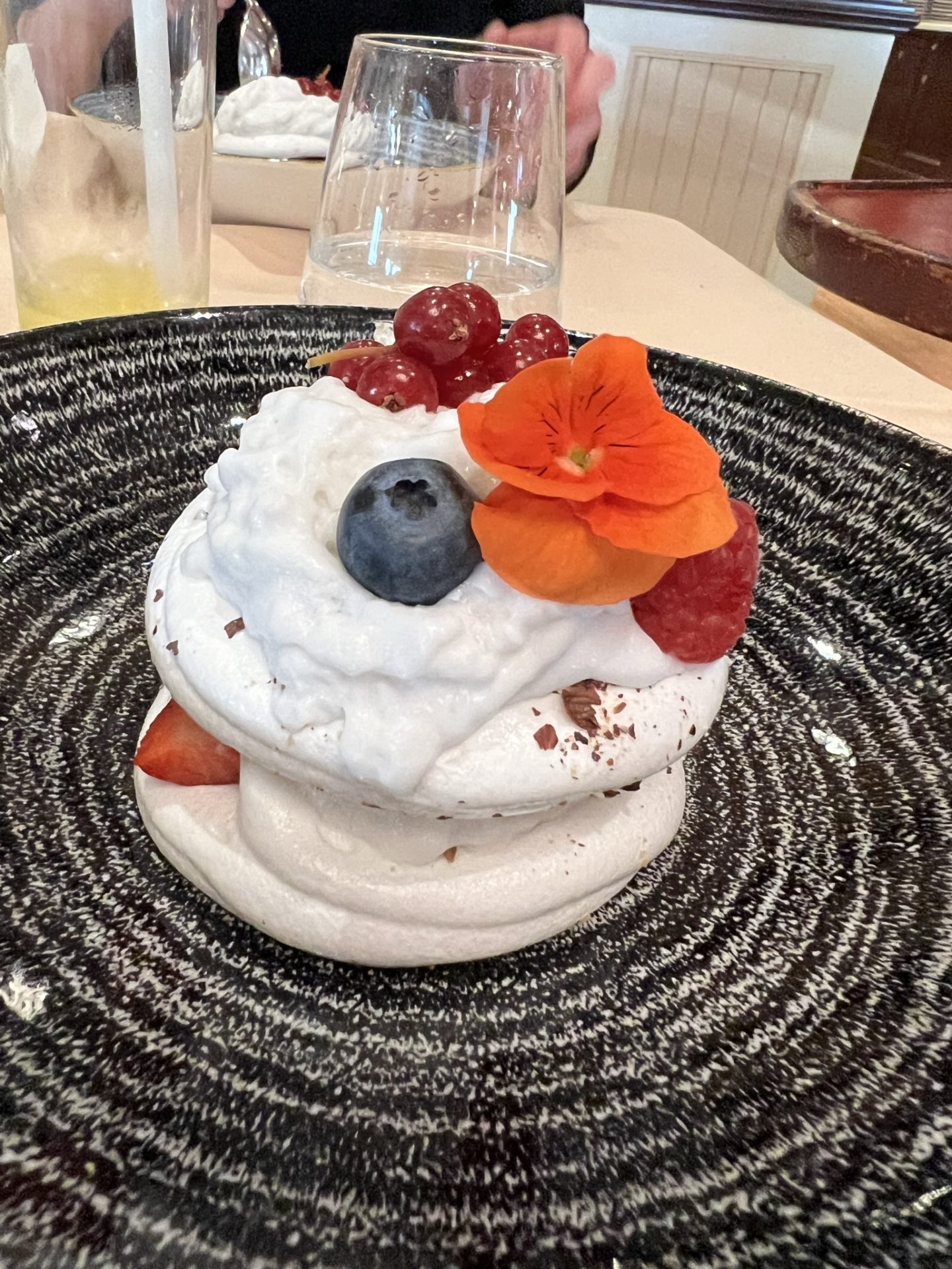 Vegan Pavlova at the Yacht Club. Disneyland Paris
